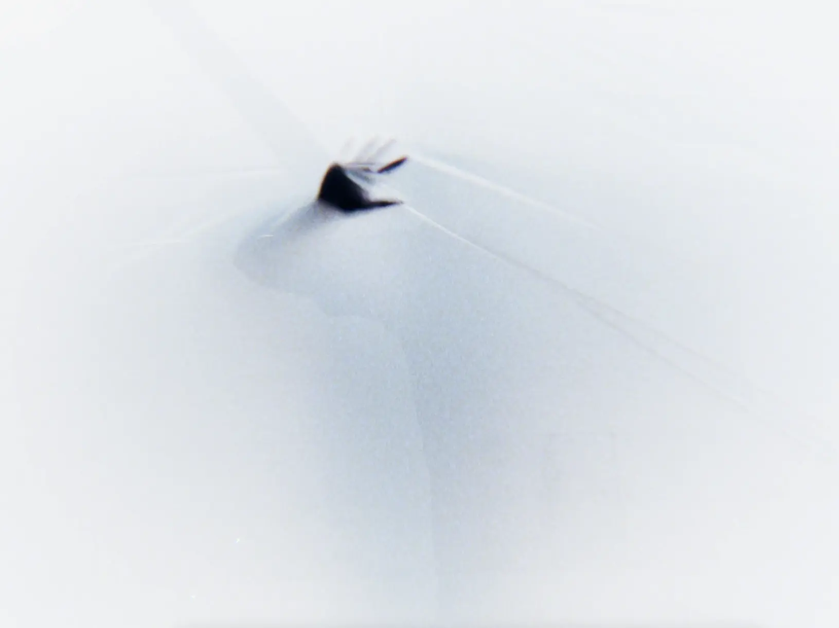 KLOFAMA PRESENTS: PROTOCOL_1